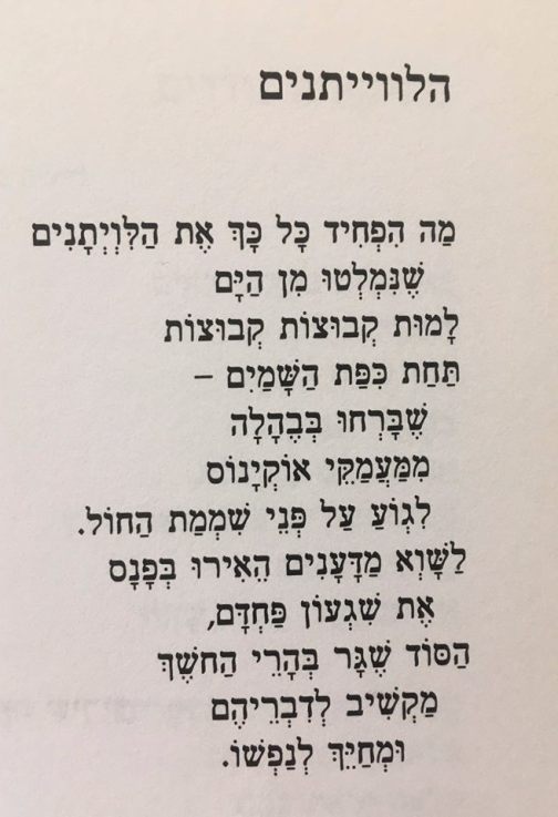 הלוויתנים זלדה.jpg