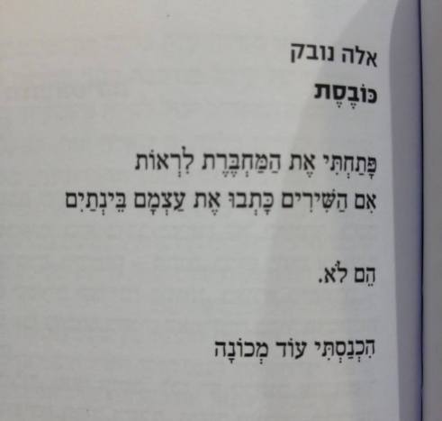 כובסת.jpg
