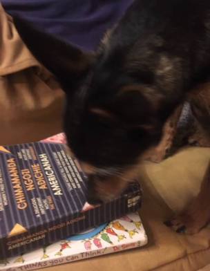 פזית ואמריקנה