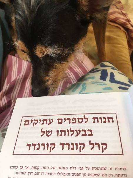 פזית והסיפור שאינו נגמר.jpg