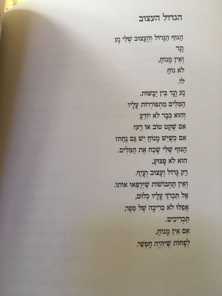 WhatsApp Image 2018-07-30 at 09.41.56